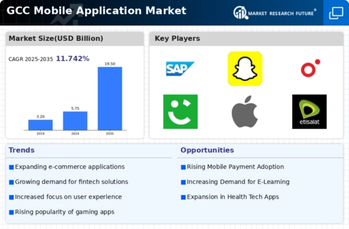 GCC Mobile Application Market Infographic