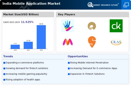 India Mobile Application Market Infographic