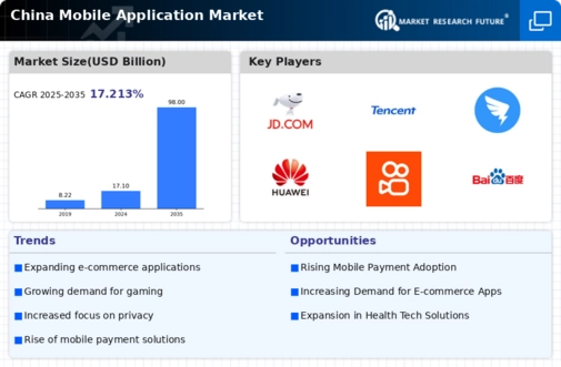 China Mobile Application Market Infographic