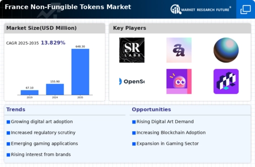 France Non Fungible Tokens Market Infographic