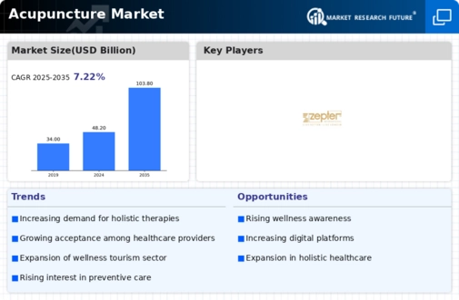 Acupuncture Market Infographic