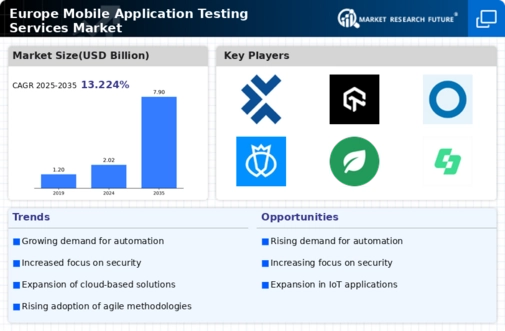 Europe Mobile Application Testing Services Market Infographic