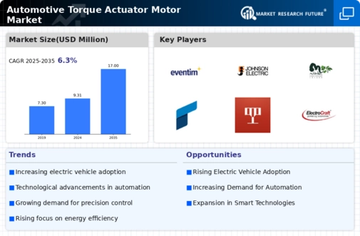 Automotive Torque Actuator Motor Market Infographic