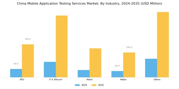China Mobile Application Testing Services Market Segment Image 1