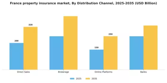 France Property Insurance Market Segment Image 1