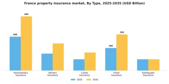 France Property Insurance Market Segment Image 3