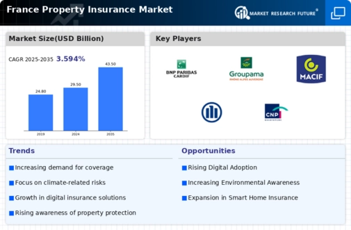 France Property Insurance Market Infographic