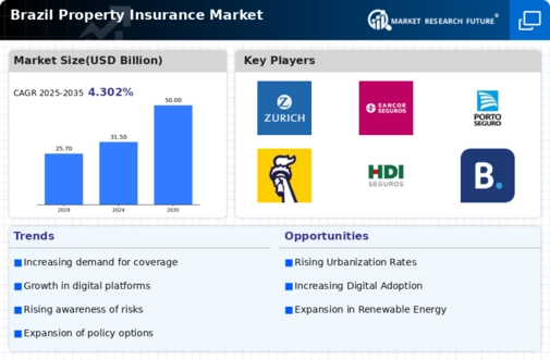 Brazil Property Insurance Market Infographic