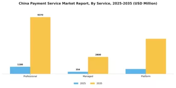 China Payment Service Market Segment Image 0