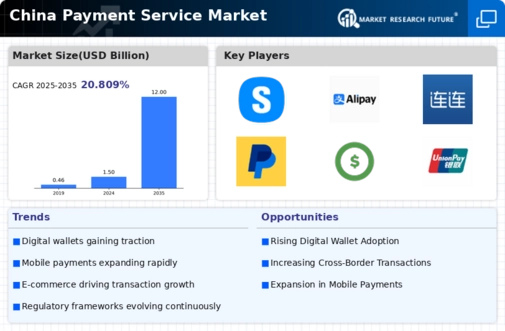 China Payment Service Market Infographic