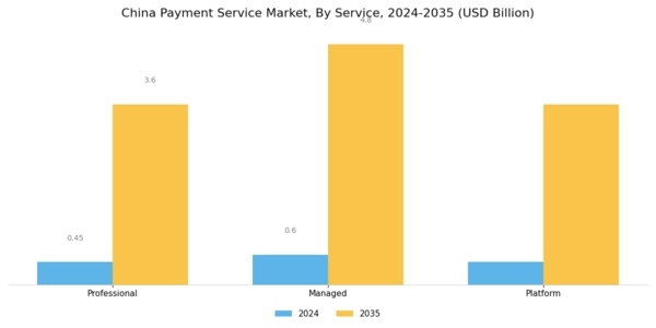 China Payment Service Market Segment Image 0