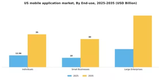 US Mobile Application Market Segment Image 2