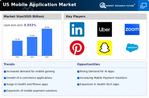 US Mobile Application Market Infographic