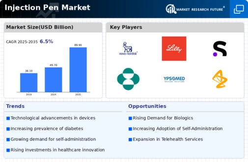 Injection Pen Market Research Report – Forecast to 2032 Infographic