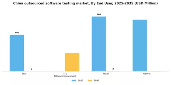China Outsourced Software Testing Market Segment Image 0