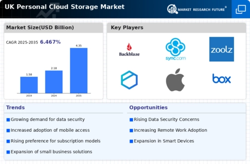 UK Personal Cloud Storage Market Infographic