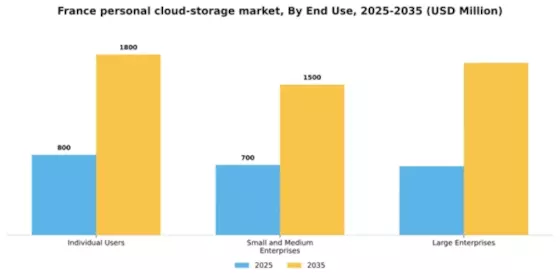 France Personal Cloud Storage Market Segment Image 1