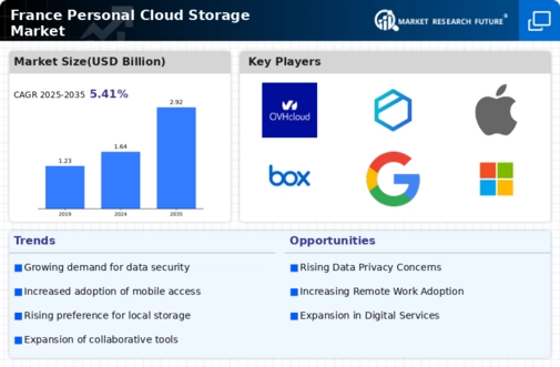 France Personal Cloud Storage Market Infographic