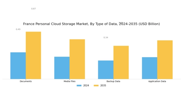 France Personal Cloud Storage Market Segment Image 1