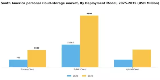 South America Personal Cloud Storage Market Segment Image 0