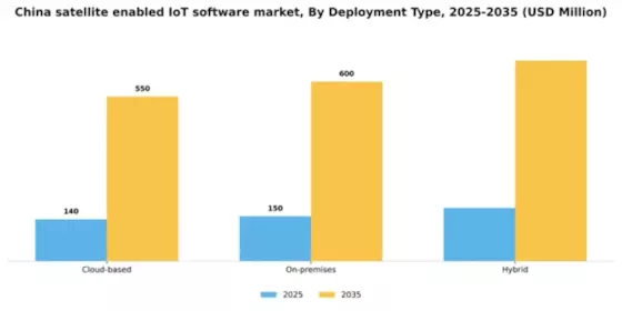 China Satellite Enabled Iot Software Market Segment Image 1
