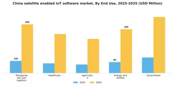 China Satellite Enabled Iot Software Market Segment Image 2