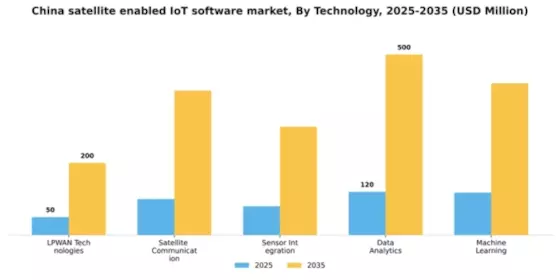 China Satellite Enabled Iot Software Market Segment Image 3
