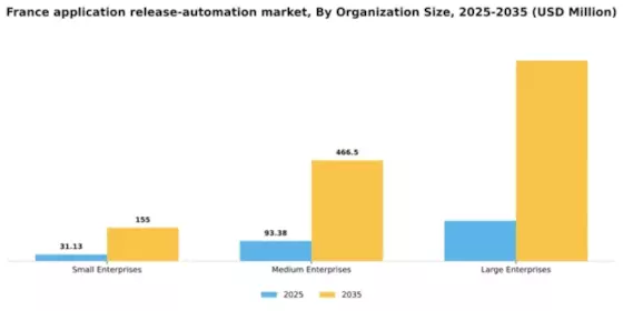 France Application Release Automation Market Segment Image 3