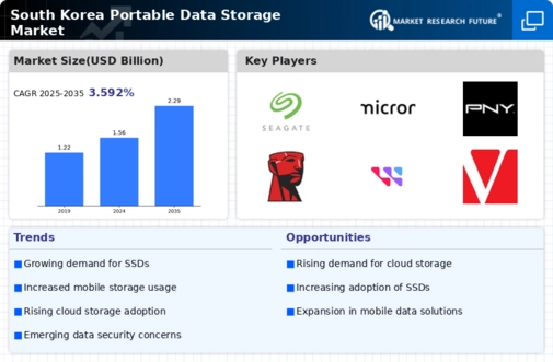South Korea Portable Data Storage Market Infographic