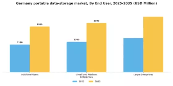 Germany Portable Data Storage Market Segment Image 1