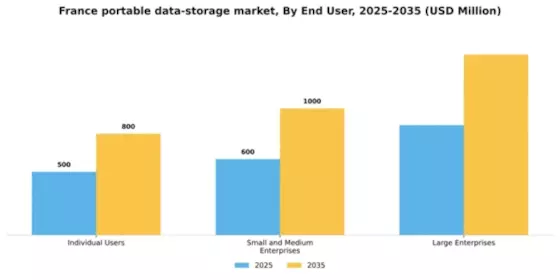 France Portable Data Storage Market Segment Image 1