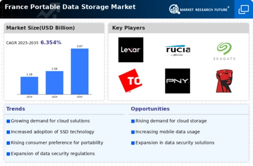 France Portable Data Storage Market Infographic