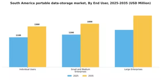 South America Portable Data Storage Market Segment Image 1