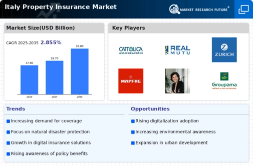 Italy Property Insurance Market Infographic