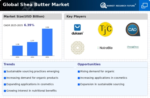 Shea Butter Market Infographic