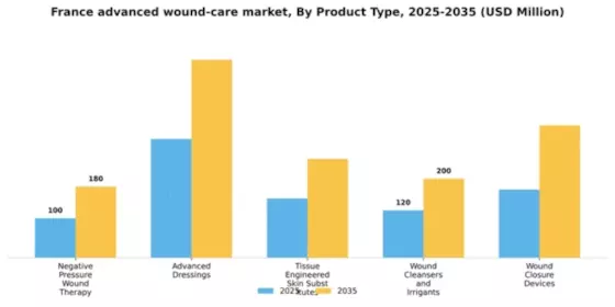 France Advanced Wound Care Market  Segment Image 1