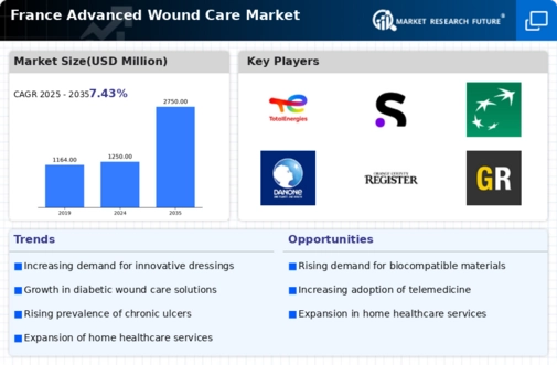 France Advanced Wound Care Market  Infographic