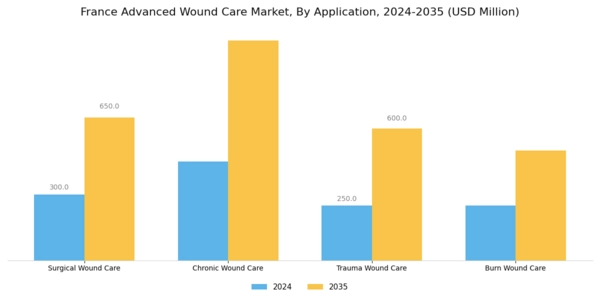 France Advanced Wound Care Market  Segment Image 0