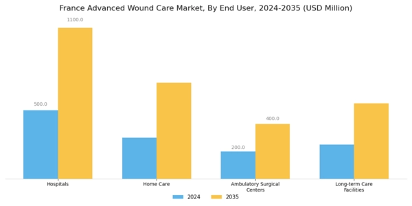 France Advanced Wound Care Market  Segment Image 2