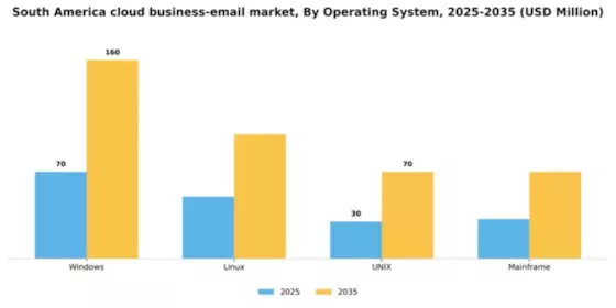 South America Cloud Business Email Market Segment Image 0