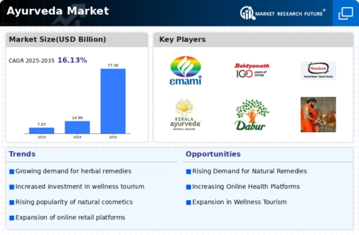 Ayurveda Market Infographic