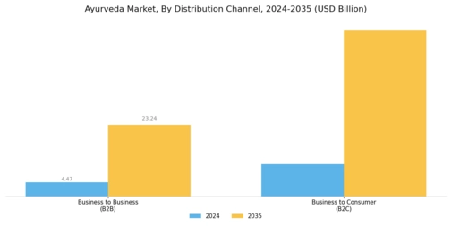 Ayurveda Market Segment Image 3