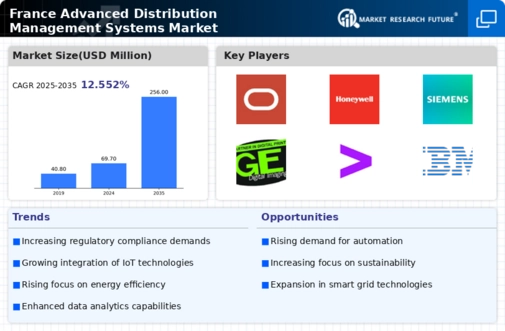 France Advanced Distribution Management Systems Market Infographic