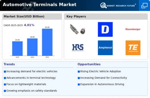 Automotive Terminals Market Infographic