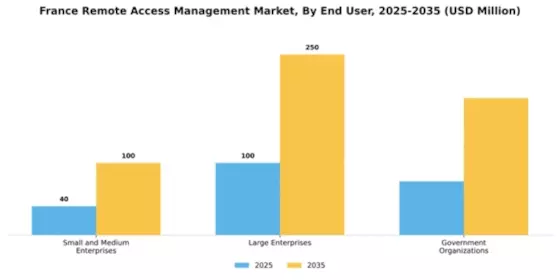 France Remote Access Management Market Segment Image 1