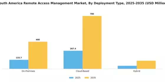 South America Remote Access Management Market Segment Image 0
