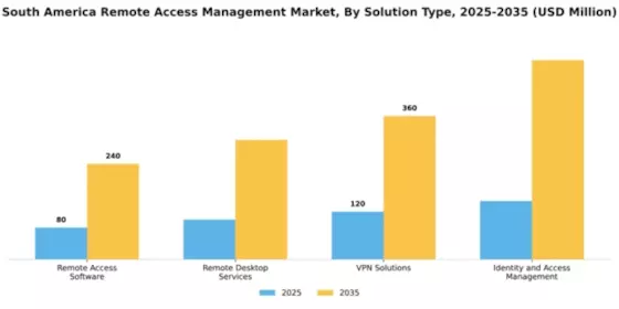 South America Remote Access Management Market Segment Image 3