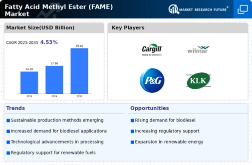 Fatty Acid Methyl Ester Market Infographic