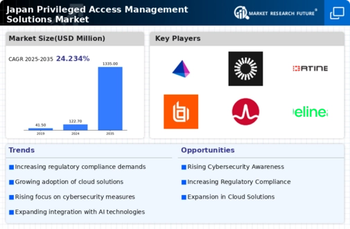 Japan Privileged Access Management Solutions Market Infographic