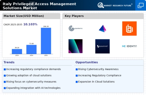 Italy Privileged Access Management Solutions Market Infographic